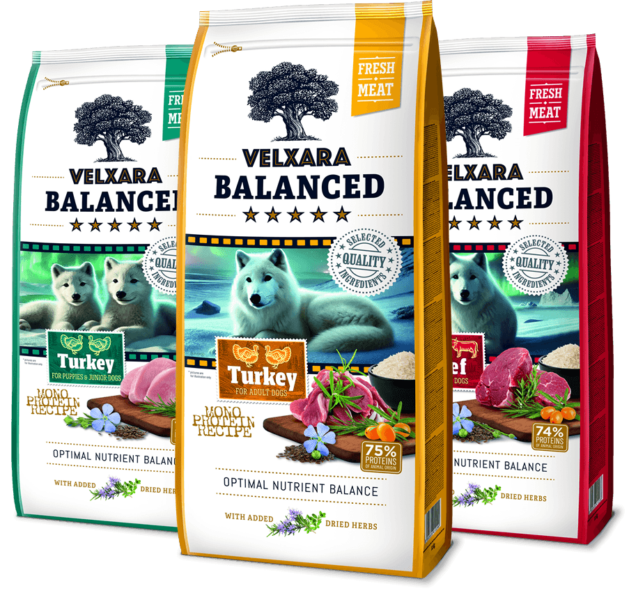 VELXARA BALANCED